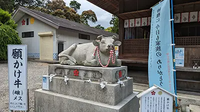 願掛け牛
